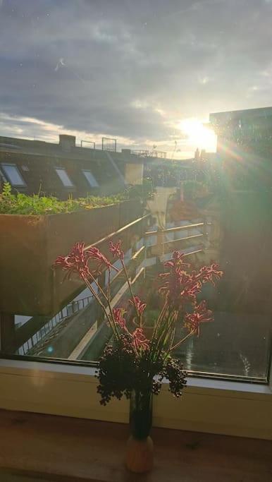 Appartement Uhu